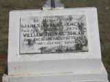 image of grave number 943515